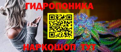 прущие грибы Тара