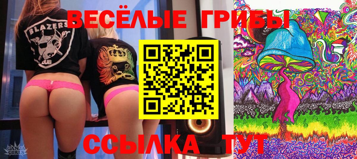 Псилоцибиновые грибы Cubensis Нижнеудинск